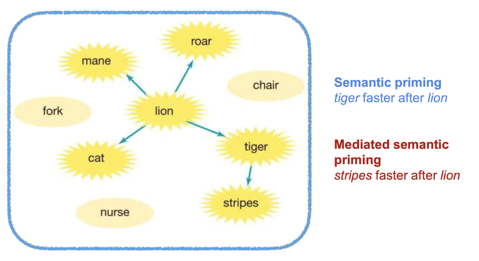 Semantic network showing mediated priming